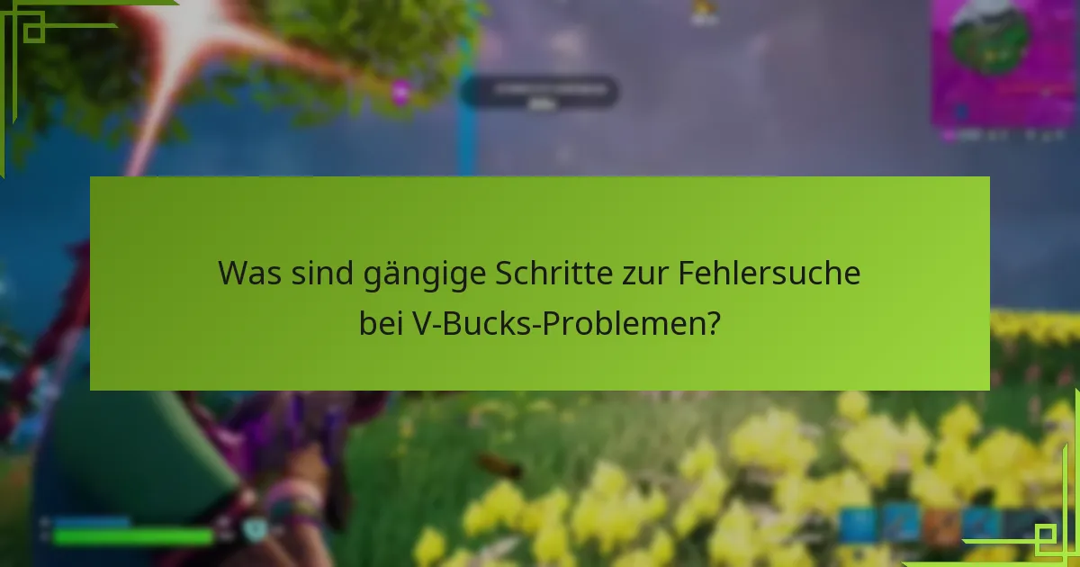 Was sollte ich über den Kauf von V-Bucks wissen?